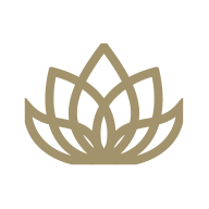 transparent favicon